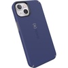 Prussian Blue/Cloudy Gray